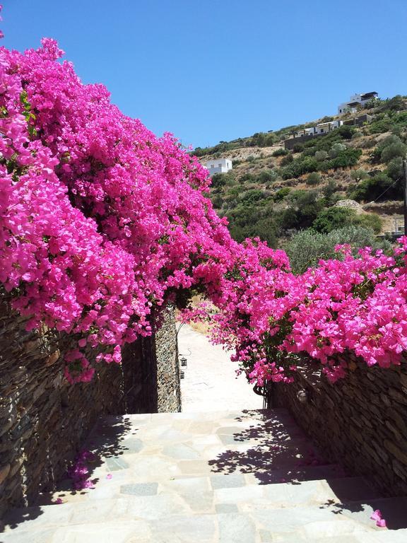 Ostria Studios Platis Gialos  Dış mekan fotoğraf