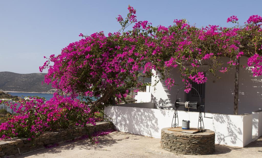 Ostria Studios Platis Gialos  Dış mekan fotoğraf